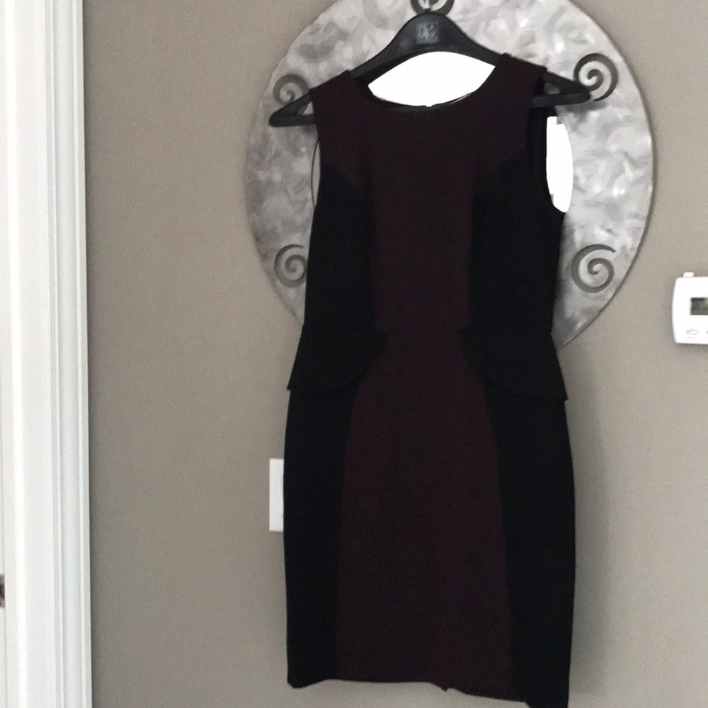 Ann Taylor loft professional dress